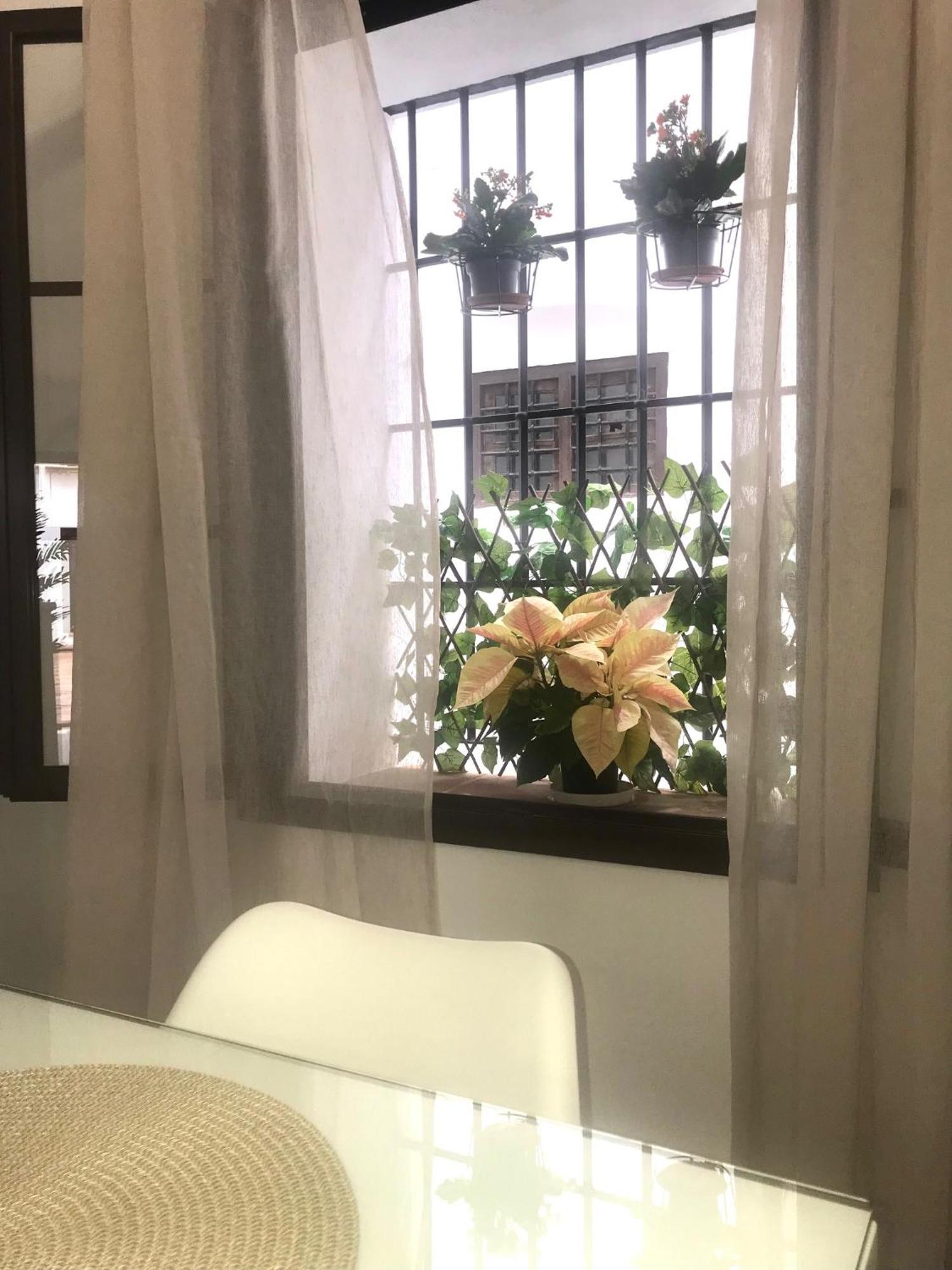 Apartamento El Museo Écija Εξωτερικό φωτογραφία